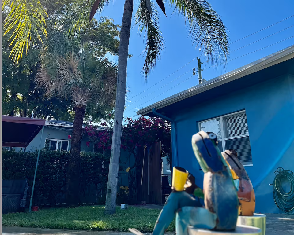 Outdoor garden area with palm trees, green grass, and a blue building with a window. In the foreground, there are colorful bird sculptures. The sky is clear and blue.