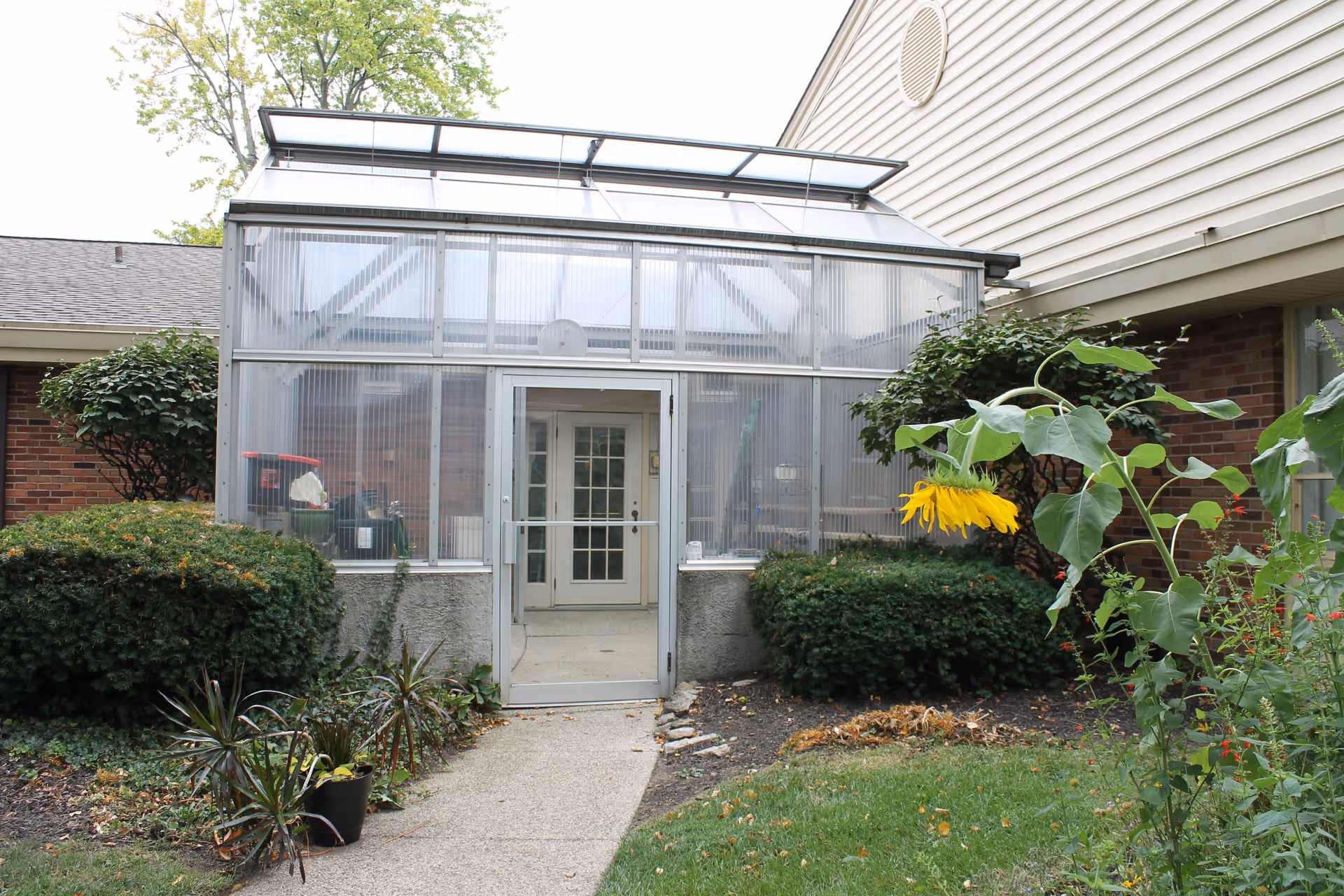 Exterior view of a greenhouse structure attached to a building at Westover Retirement Community. The greenhouse has transparent panels and a glass door, surrounded by bushes, plants, and a sunflower in the foreground.