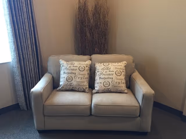 A beige loveseat with two decorative pillows featuring script text, placed against a light-colored wall. Behind the loveseat is a bundle of tall dried branches. To the left, there is a window with long curtains.
