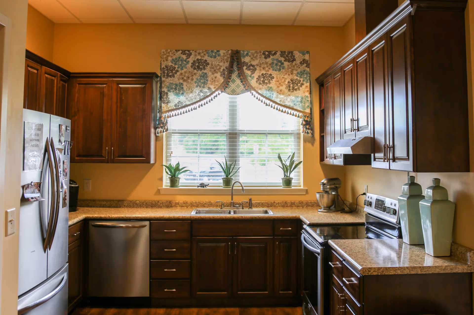 Well-lit kitchen with dark wood cabinets, stainless steel appliances, a sink under a window with a patterned valance and potted plants.