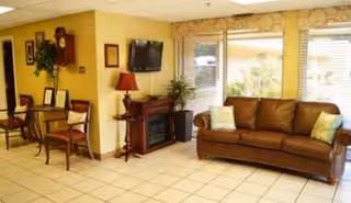 Cozy resident living room with a brown leather sofa, chairs, TV, plants, and windows.