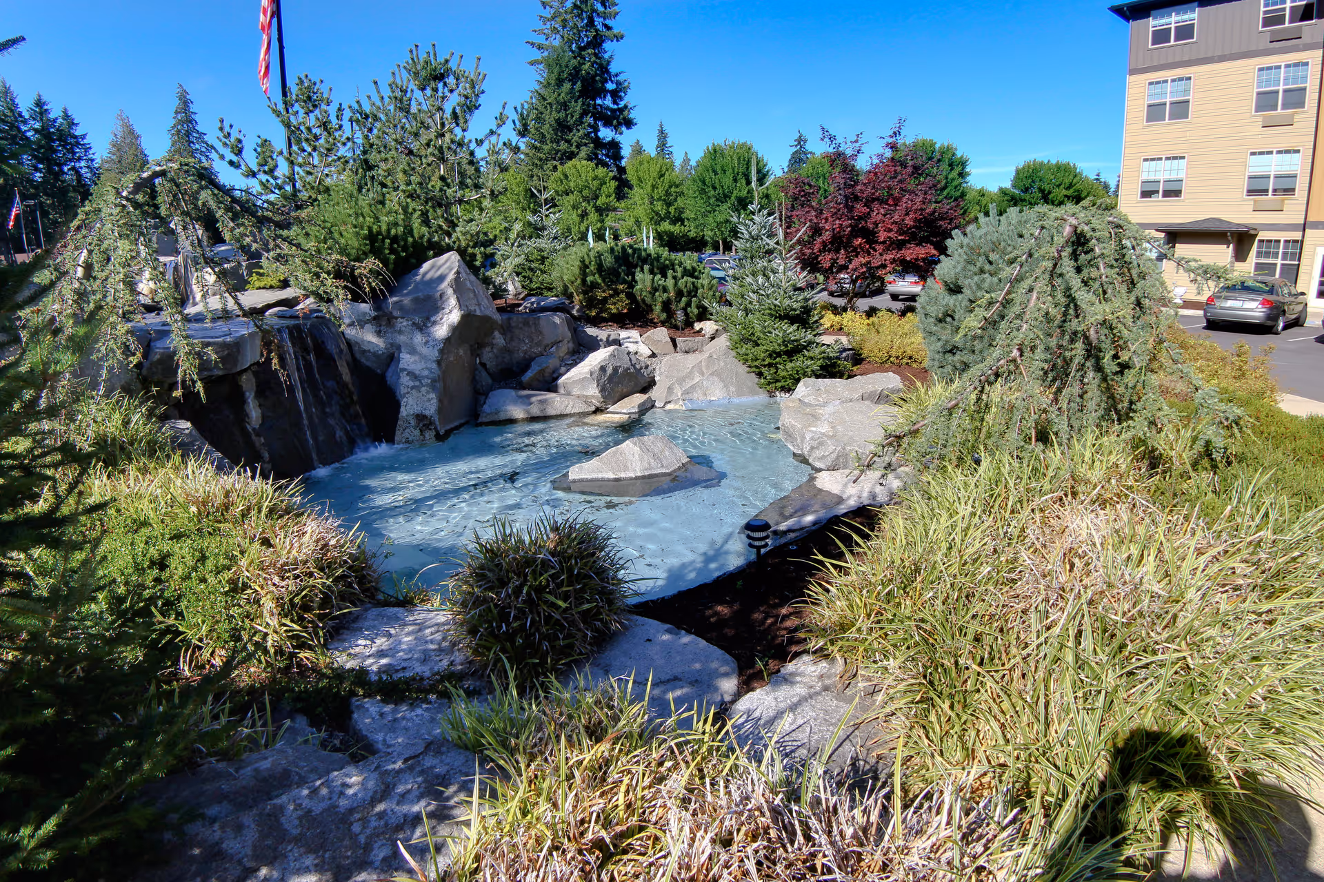 Outdoor garden area with a small pond surrounded by rocks, various green shrubs, trees, and plants. A building and parked cars are visible in the background under a clear blue sky.