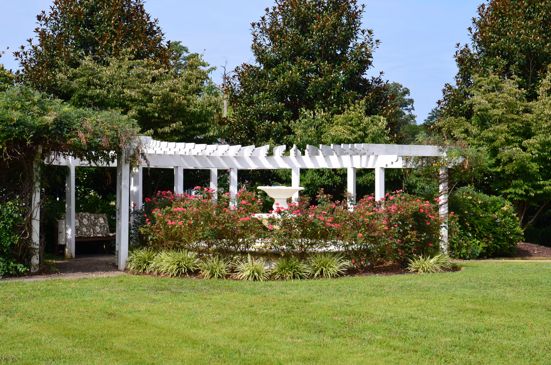 A white pergola shelters a central fountain surrounded by pink flowering shrubs, green lawn, and trees.