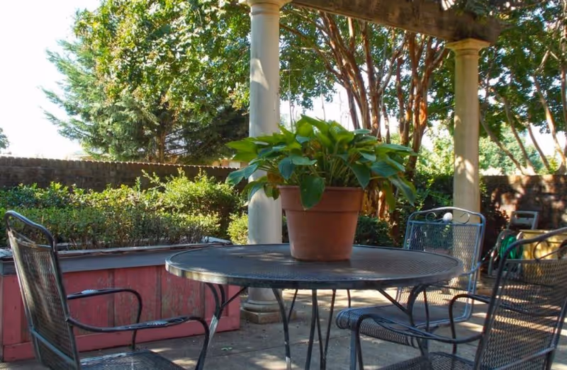 Outdoor patio with a round metal table holding a potted plant, metal chairs, columns, and surrounding trees and shrubs.