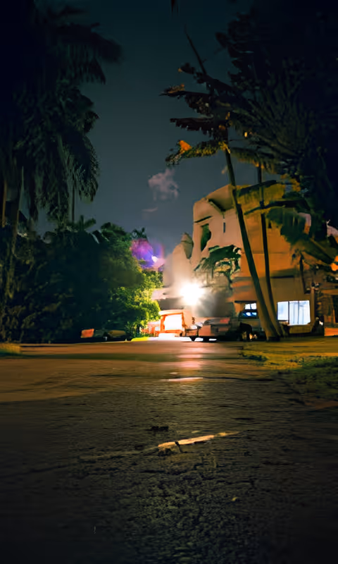 Nighttime outdoor view of a building surrounded by tall palm trees and other vegetation, with bright lights illuminating part of the building and the pathway in front.