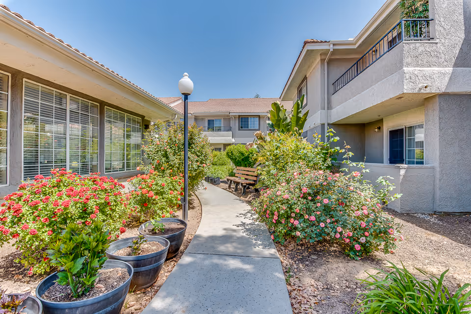 Sunny outdoor courtyard walkway between two gray two-story senior living buildings lined with flowering bushes, potted plants, a bench, and a lamppost.