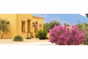Exterior view of a yellow stucco building with an American flag mounted near the entrance, surrounded by desert landscaping including a large pink flowering bush and other greenery, with mountains visible in the background under a clear blue sky.