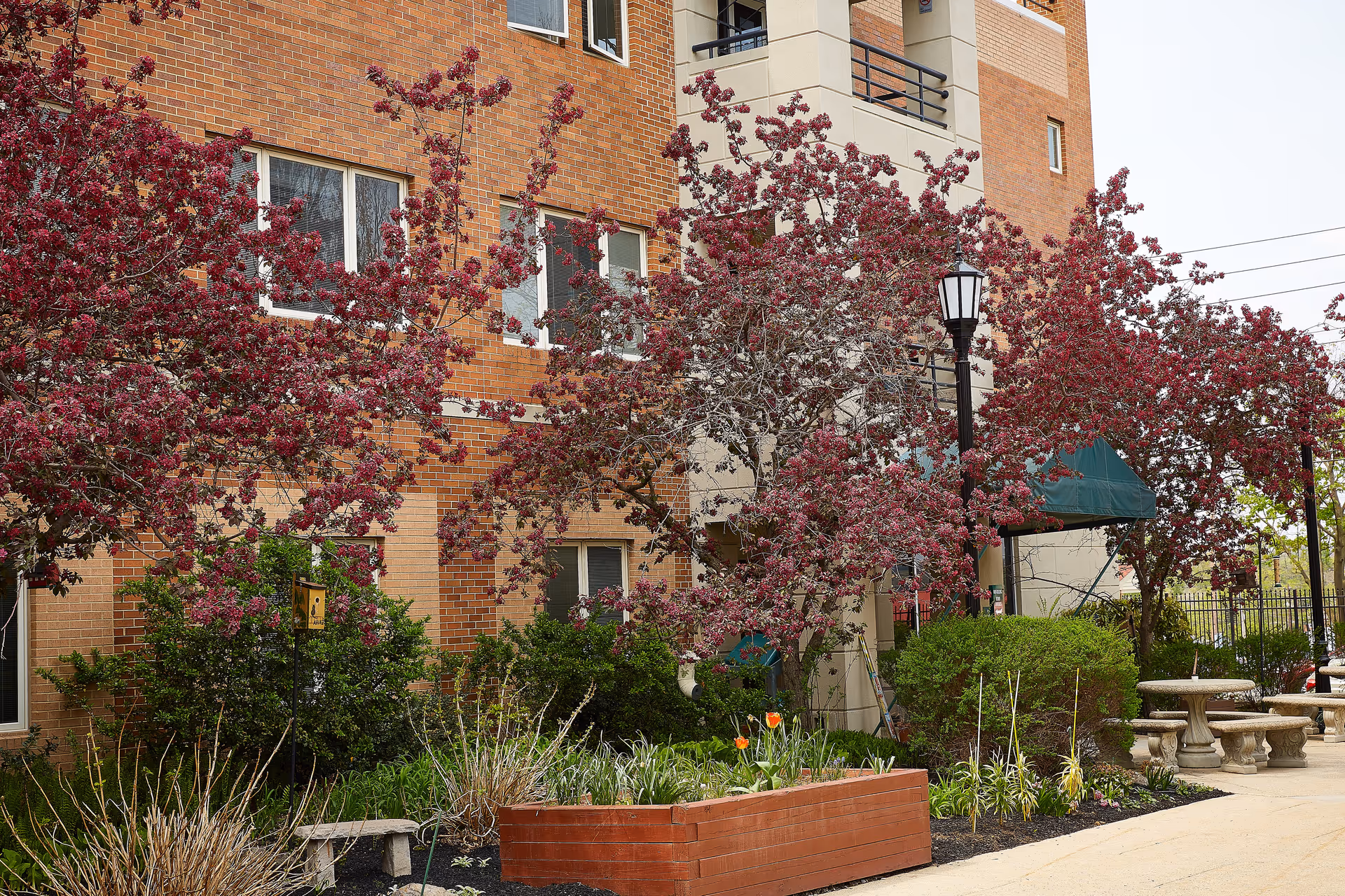 Exterior view of a brick building with several windows partially obscured by blooming trees with pink flowers. There is a green awning over an entrance, a black lamp post, and a landscaped area with bushes, flowers, and a raised brick planter. Stone benches and tables are visible on the right side near the sidewalk.