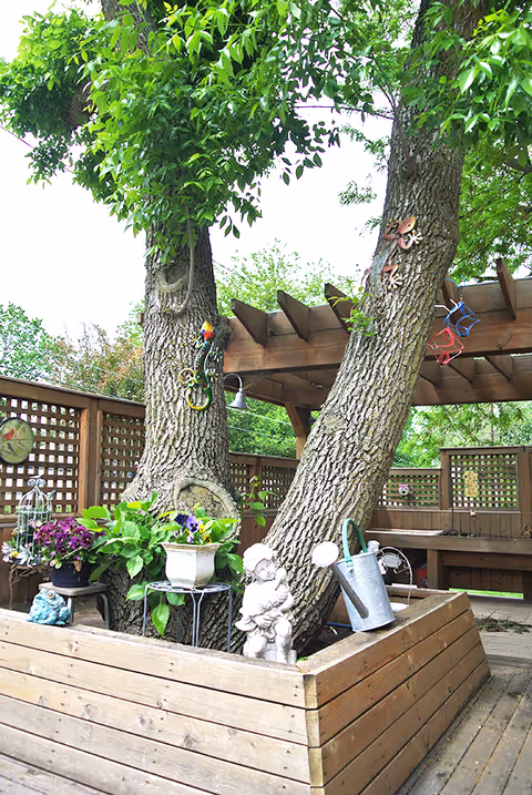 Outdoor garden area with two large trees growing through a wooden planter box. The trees have decorative items attached, including a colorful bird and a lizard. There are various potted plants, a small statue of a child, and a metal watering can placed around the base of the trees. In the background, there is a wooden pergola and lattice fencing surrounding the space.
