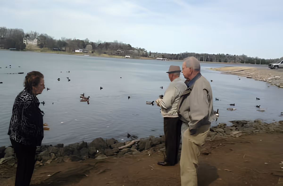 Three elderly people standing by the edge of a lake with ducks swimming in the water. The background shows trees and some buildings across the lake under a clear sky.