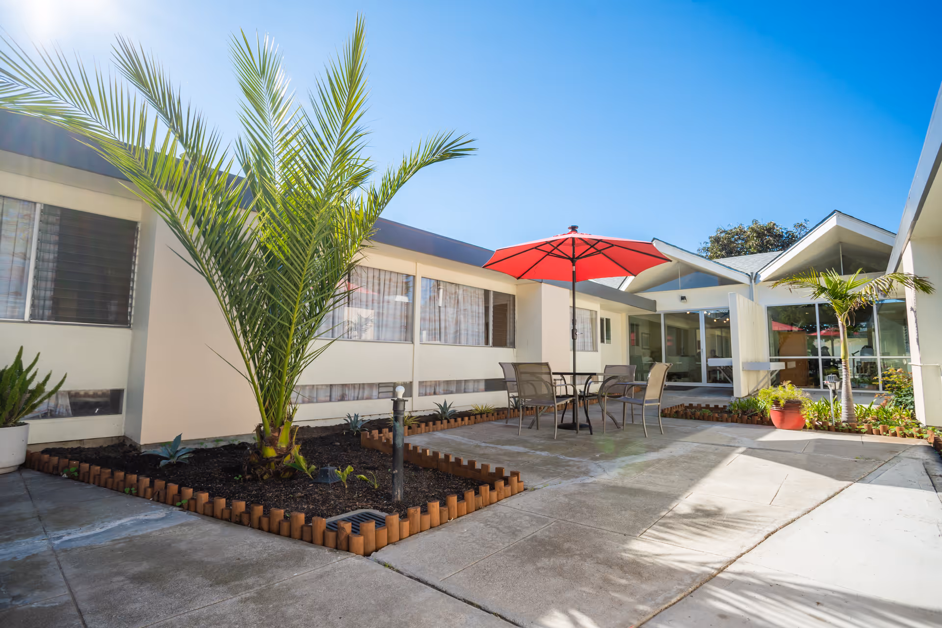 Outdoor courtyard area with a small garden bed containing palm trees and other plants, surrounded by a low wooden border. There is a patio with a table and four chairs under a red umbrella. The courtyard is enclosed by a single-story building with large windows and a clear blue sky overhead.