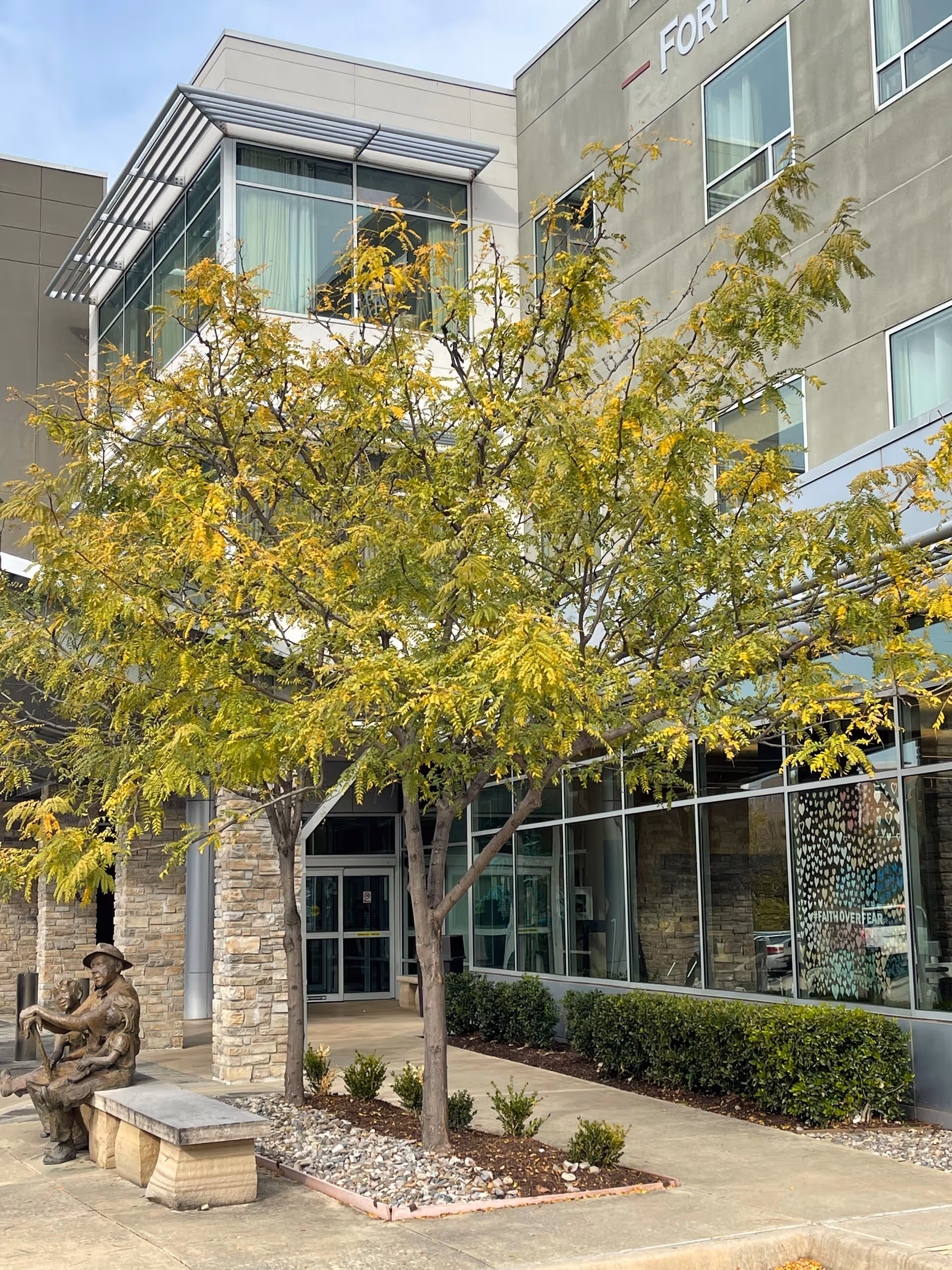 Exterior view of Fort Worth Transitional Care Center showing a modern building with large windows, a tree with yellow-green leaves in front, a stone bench, and a bronze statue of two people sitting on the bench.