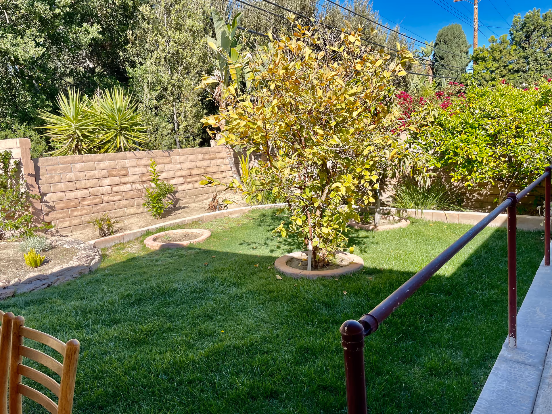 Sunny backyard with a green lawn, small trees and shrubs, a low brick retaining wall, and a metal handrail along a walkway.