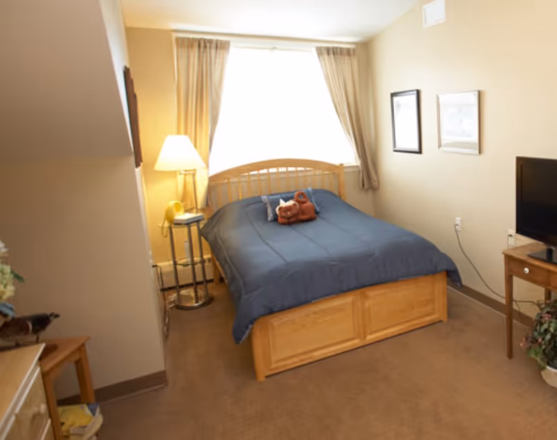 Cozy bedroom with a wooden bed topped by a blue comforter, a bedside lamp by a window with curtains, and a TV on a small table.