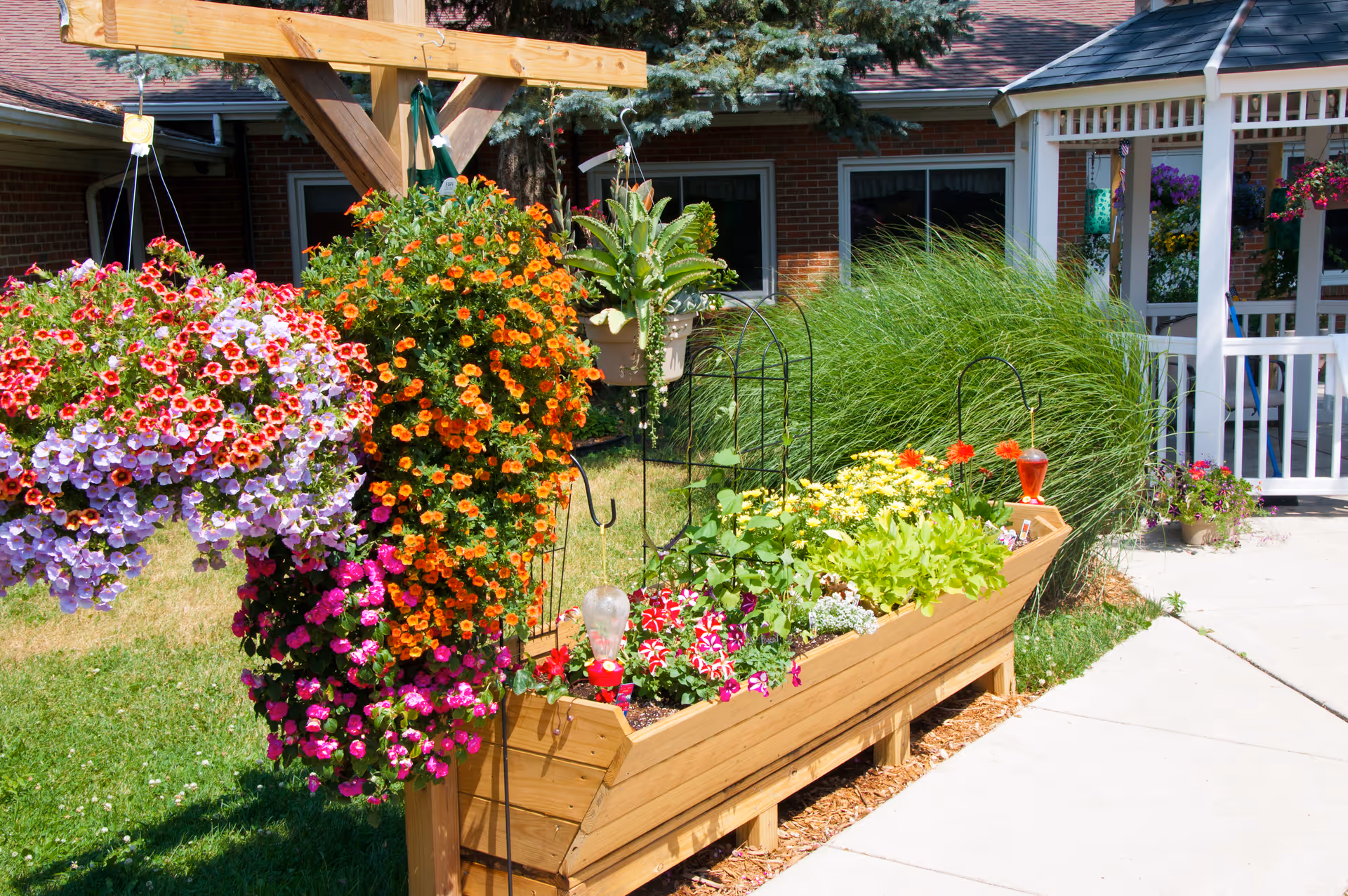 A vibrant outdoor garden area at Whitehouse Country Manor featuring a wooden raised planter box filled with various colorful flowers and plants. Hanging flower baskets with red, purple, and orange blooms are suspended from a wooden frame. In the background, there is a brick building with windows and a white gazebo with hanging flower pots. The scene is sunny with a concrete pathway beside the garden.