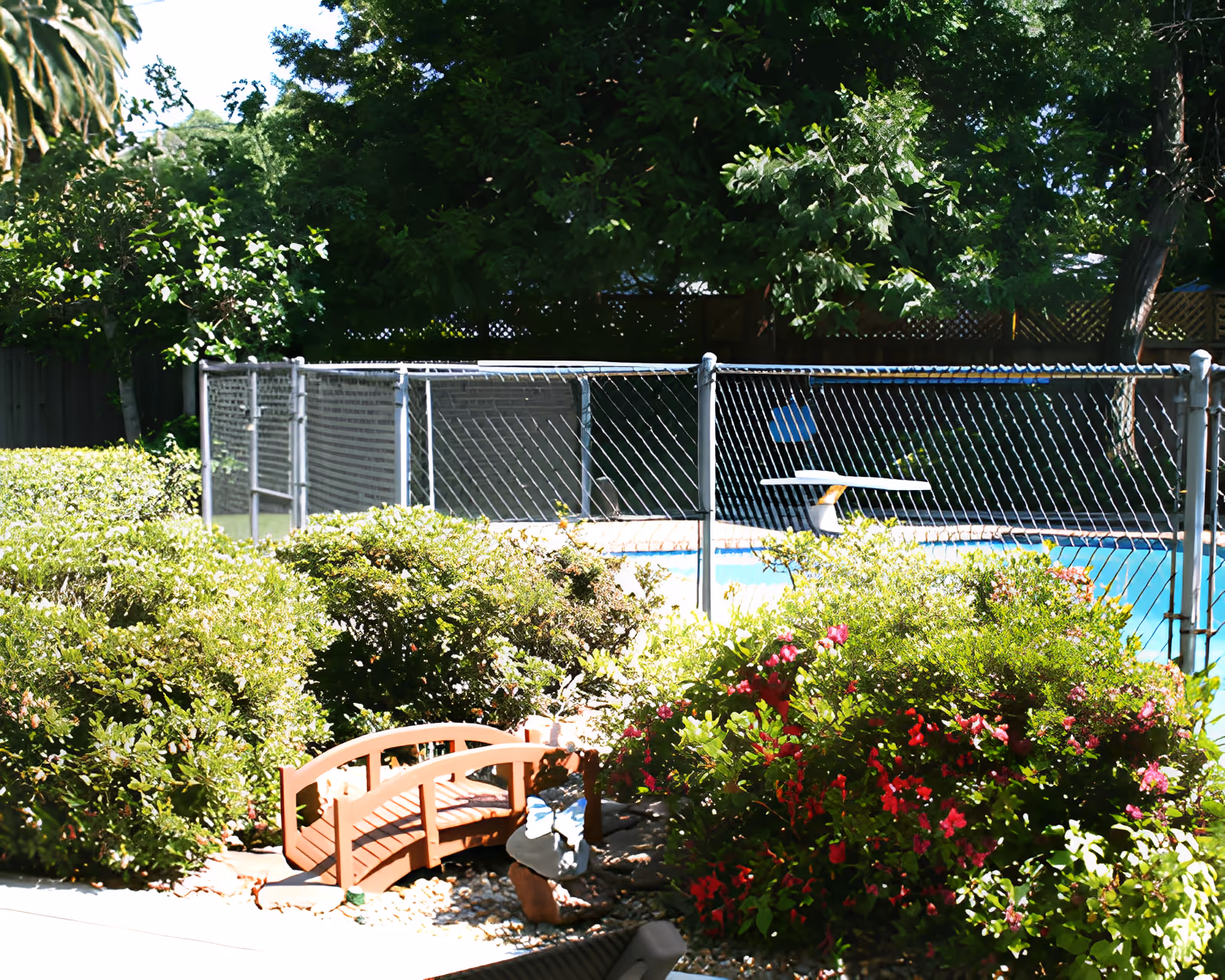 Outdoor garden area with lush green bushes and colorful flowers surrounding a small wooden decorative bridge. In the background, there is a fenced swimming pool with a diving board, and tall trees providing shade.