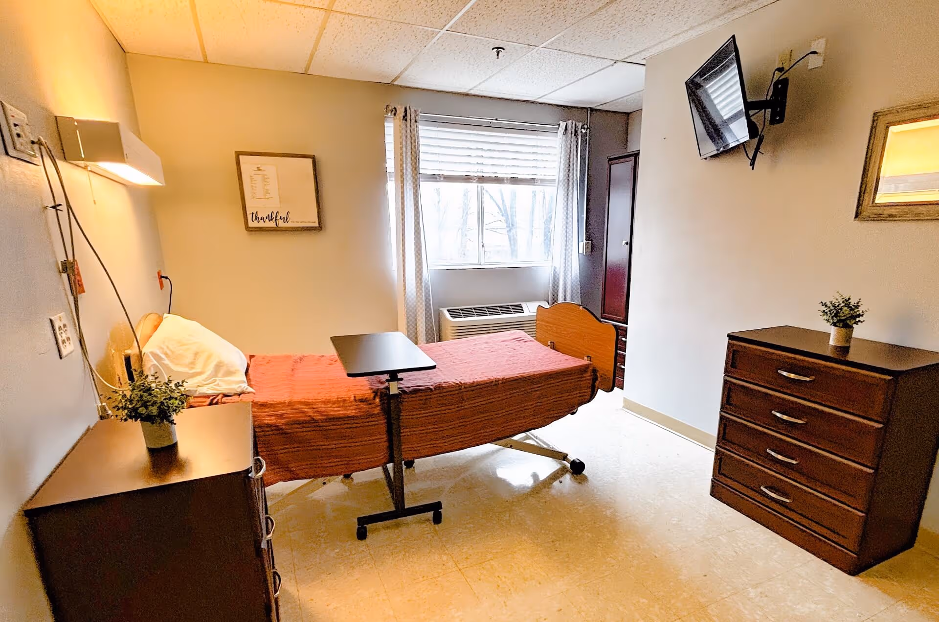 A small, clean patient room with a single hospital bed covered in a red blanket. The room has a window with curtains, a wall-mounted TV, a wooden dresser with a small plant on top, and a bedside table with another small plant. The walls are light-colored and there is a framed picture on the wall.