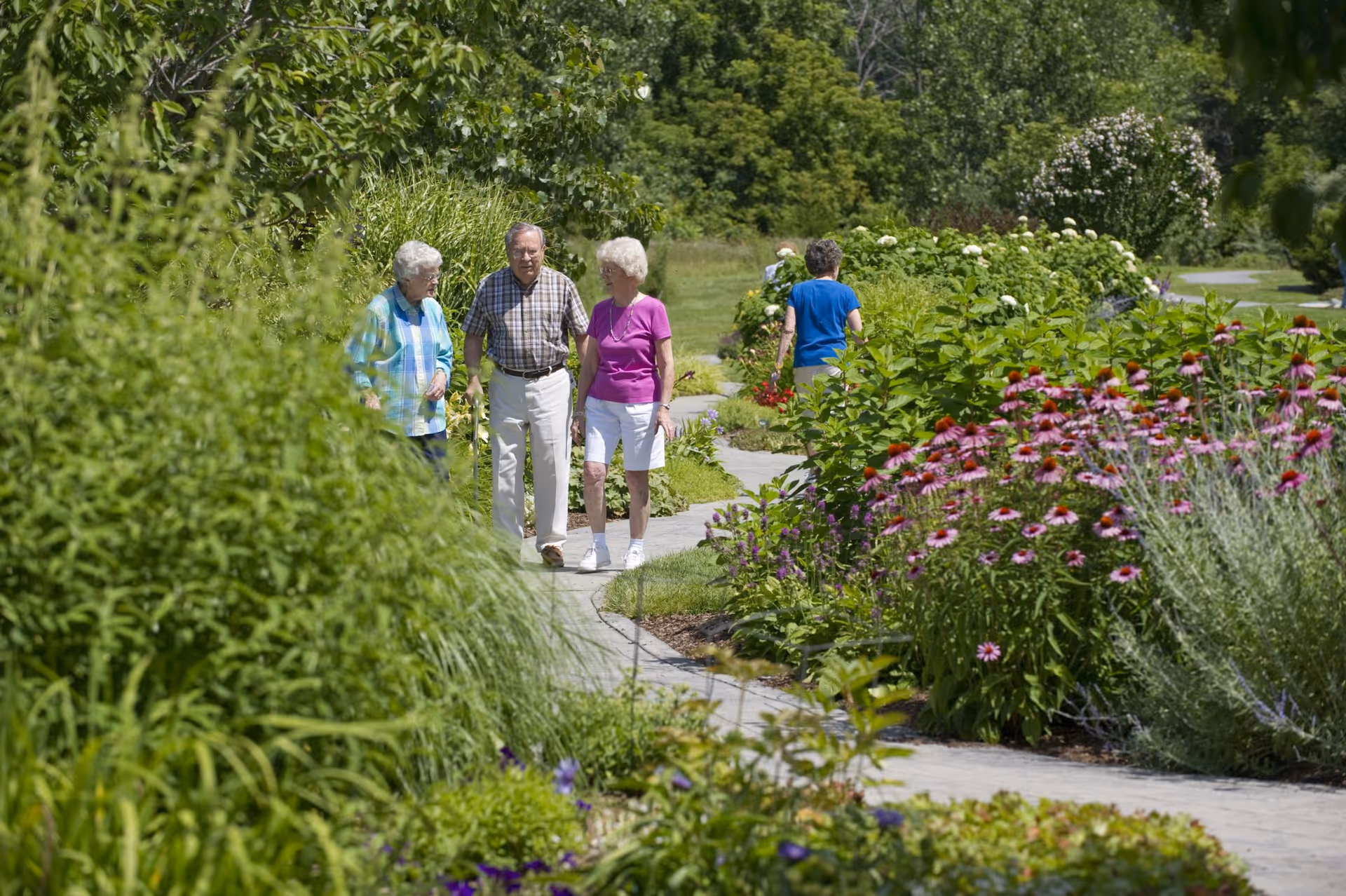 Three elderly people walking and talking on a paved garden path surrounded by lush greenery and colorful flowers on a sunny day.