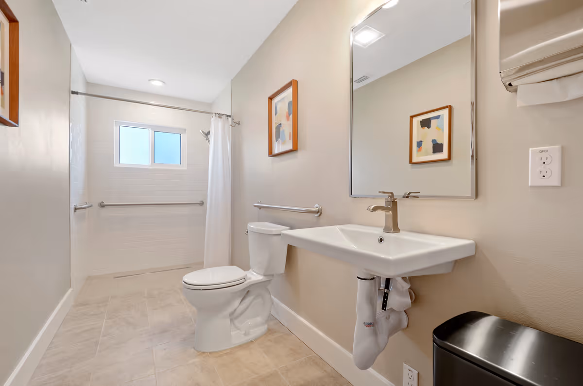 Accessible bathroom with a toilet, wall-mounted sink, grab bars, a shower with curtain, and framed artwork.