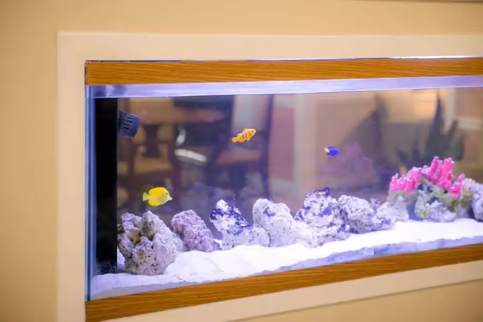A built-in rectangular aquarium with white sand, coral rocks, and colorful fish including a yellow tang, clownfish, and a blue fish, set into a beige wall with a wooden trim.