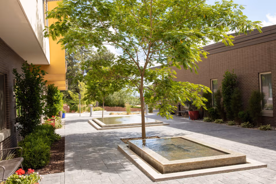 Outdoor courtyard area with paved walkways, two rectangular water features with trees planted in the center, surrounded by greenery and buildings with windows.