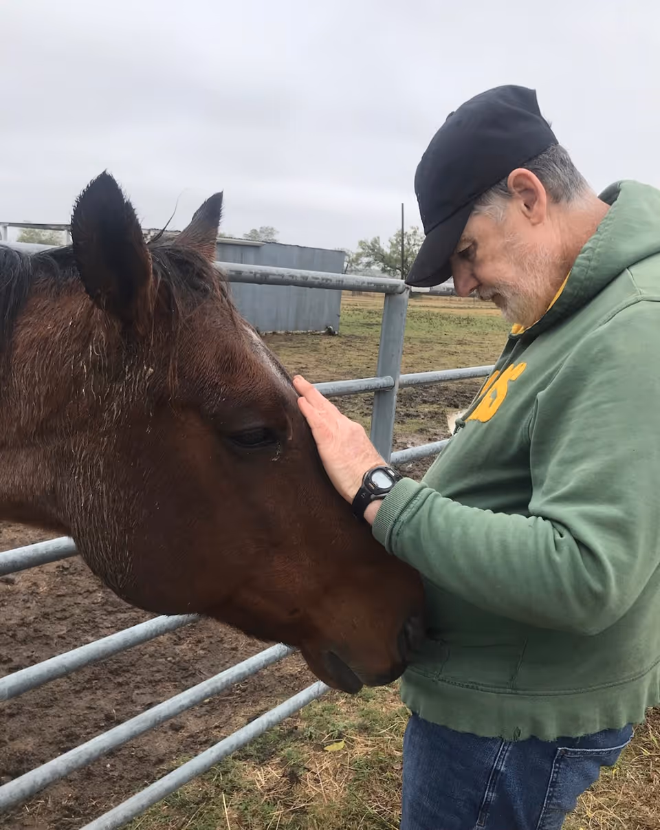 A man in a green hoodie and black cap gently pets a brown horse over a metal fence in a muddy outdoor paddock.