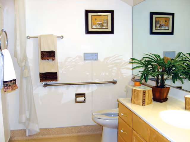 A clean bathroom with a white toilet, a beige countertop with a sink, a potted plant, and a tissue box on the counter. There are two towels hanging on the wall, a large mirror reflecting part of the room, and a framed picture above the toilet. The bathroom has a grab bar next to the toilet and a light-colored floor.