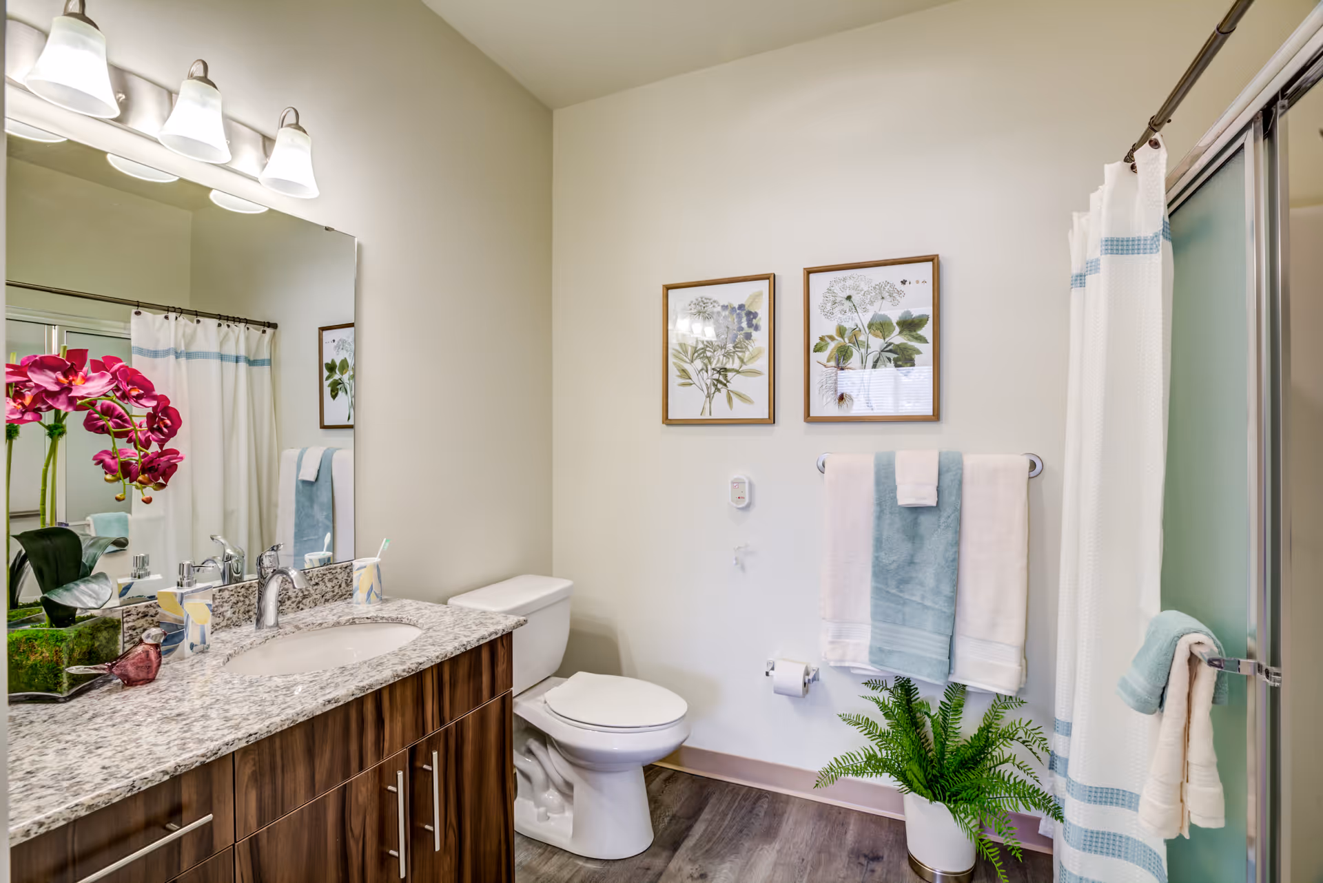 A clean and modern bathroom featuring a granite countertop with a sink, a large mirror with three light fixtures above it, a white toilet, a shower with a white curtain accented with blue stripes, two framed botanical prints on the wall, neatly folded towels on a towel rack, a green potted plant on the floor, and a decorative purple orchid on the countertop.