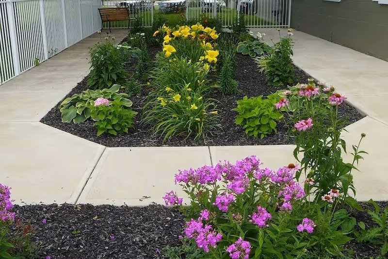 Paved courtyard garden with raised flowerbeds of yellow and pink blooms, a bench, and a white fence.