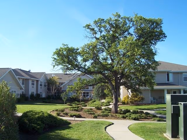 Landscaped courtyard with a large tree, winding sidewalks, and multi-story residential buildings under a clear blue sky.
