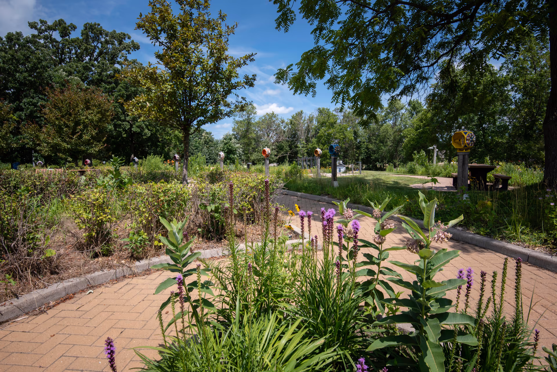A paved garden pathway surrounded by green plants and purple flowers, with trees and a grassy area in the background under a partly cloudy blue sky.