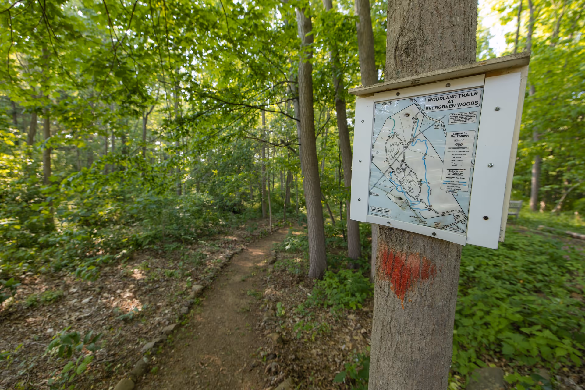 A wooded trail surrounded by green trees and foliage with a map of Woodland Trails at Evergreen Woods mounted on a tree.