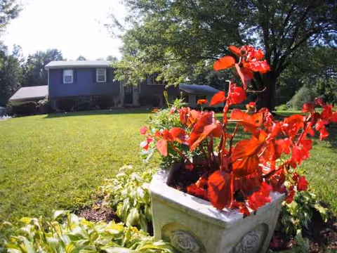 Exterior view of William's Manor, showing a lawn and red flowering planter in foreground.