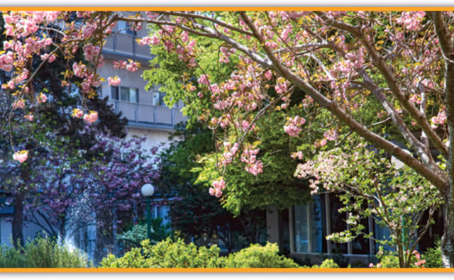 A vibrant outdoor garden area at Piedmont Gardens featuring blooming pink and purple flowering trees, lush green bushes, and a water fountain in the background near a building with balconies.