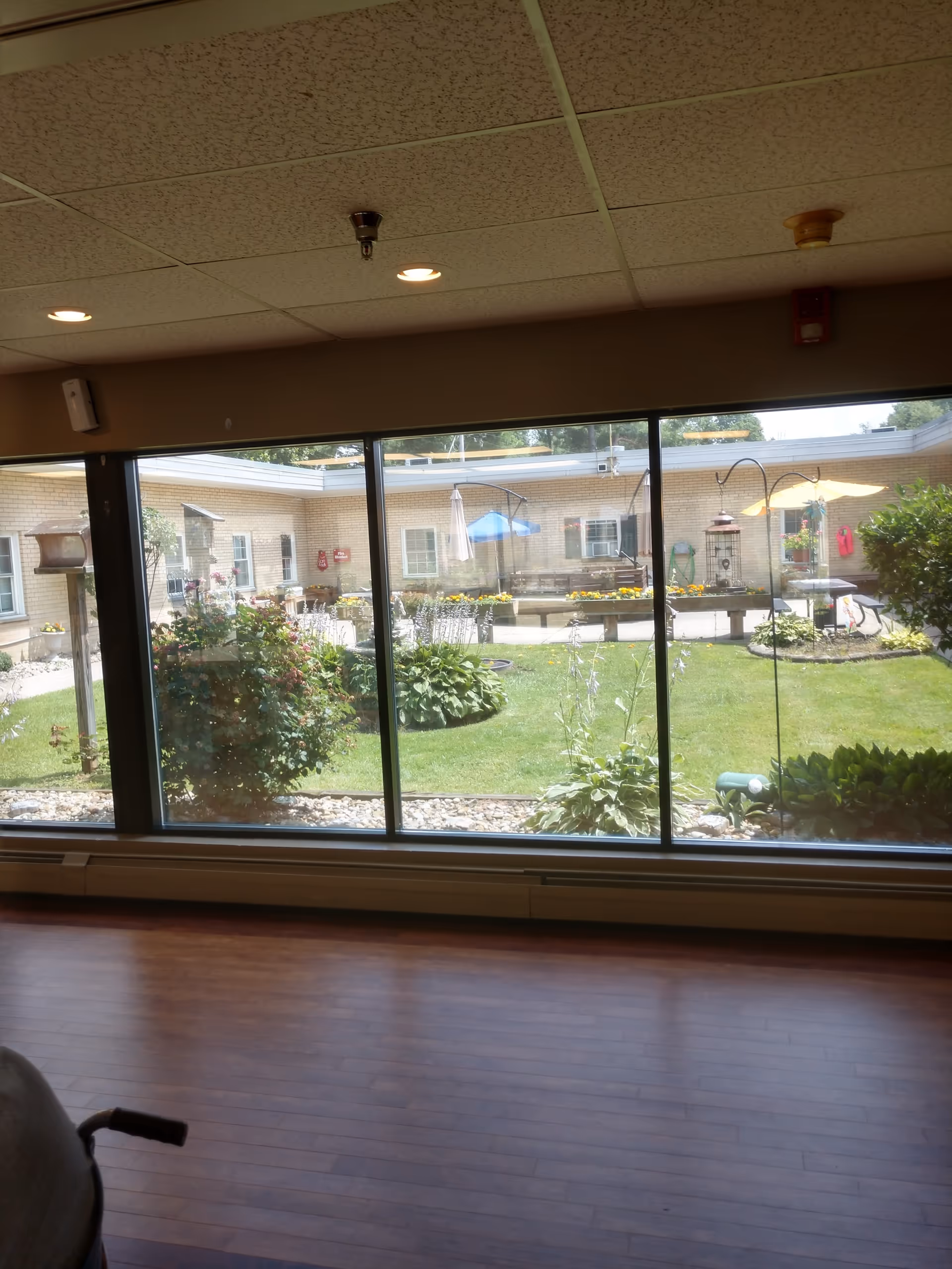 View through large windows from inside a room showing a courtyard garden with green grass, bushes, flowers, bird feeders, and patio umbrellas. The room has wooden flooring and a ceiling with recessed lights.