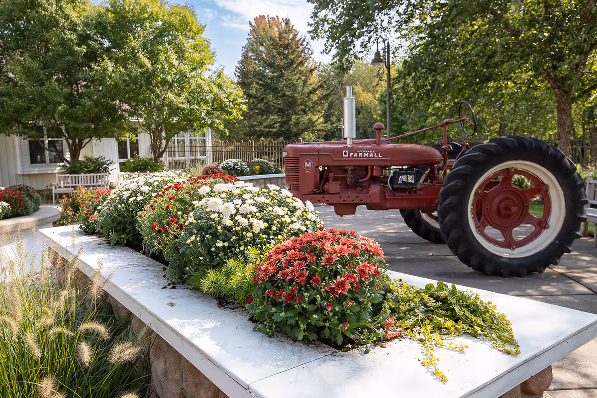 Outdoor garden area with colorful flowers planted in a raised white concrete bed. A vintage red McCormick Farmall tractor is parked on a paved path nearby. Trees and shrubs surround the area, with a building partially visible in the background under a blue sky.