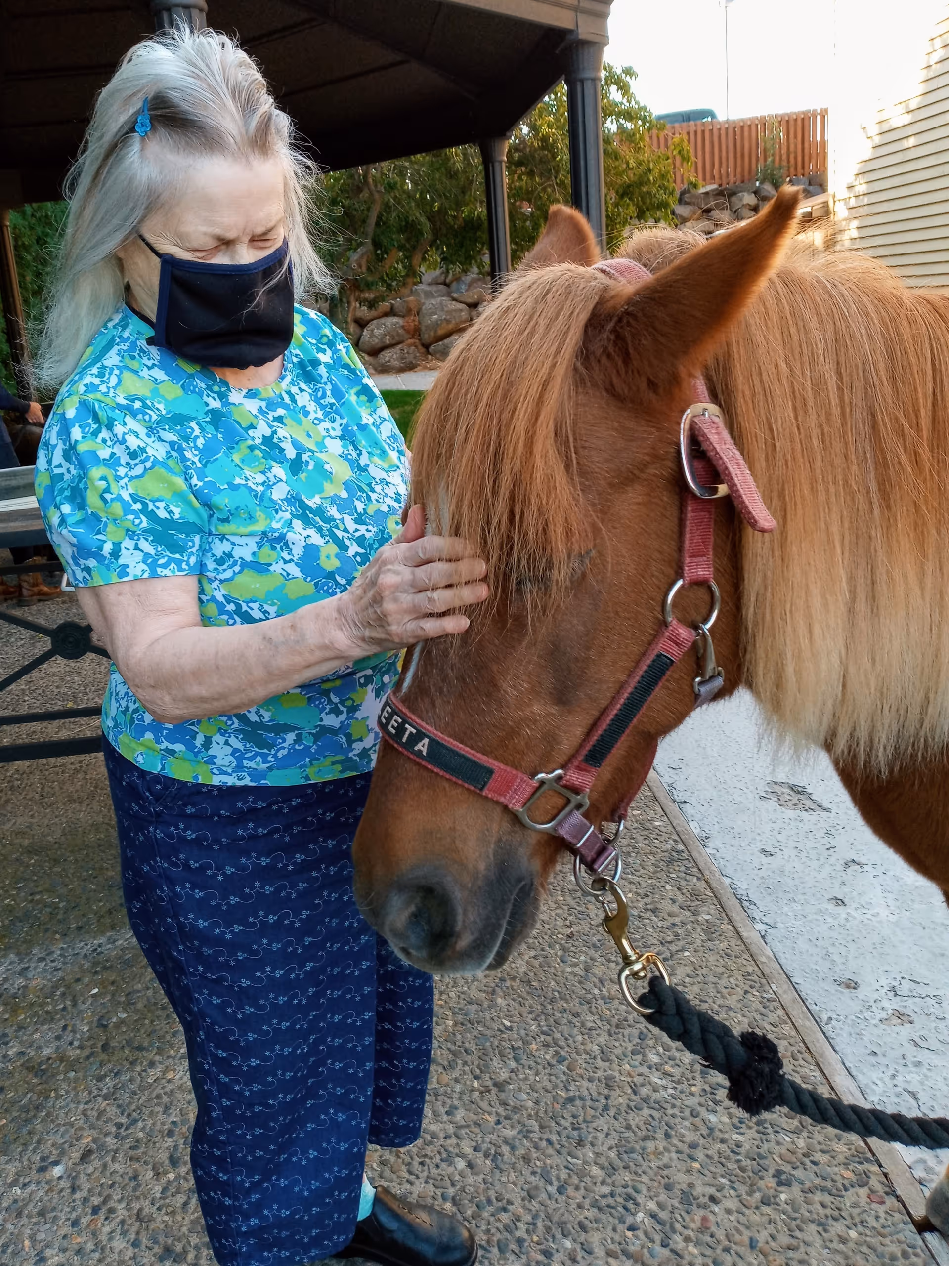 An elderly woman wearing a blue floral shirt, navy pants, black shoes, and a black face mask gently pets a brown horse with a reddish mane and a red halter labeled 'ZETA'. They are outdoors on a paved area near a building with a wooden fence and some greenery in the background.