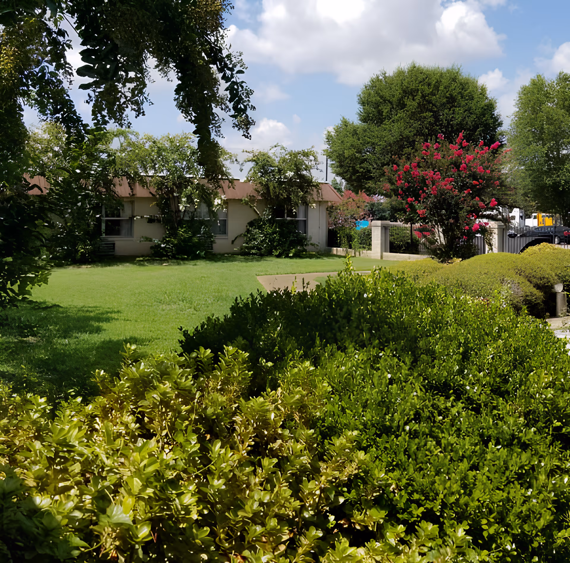 Outdoor garden area with lush green bushes and trees, a small building partially covered with climbing plants, and a clear blue sky with some clouds.