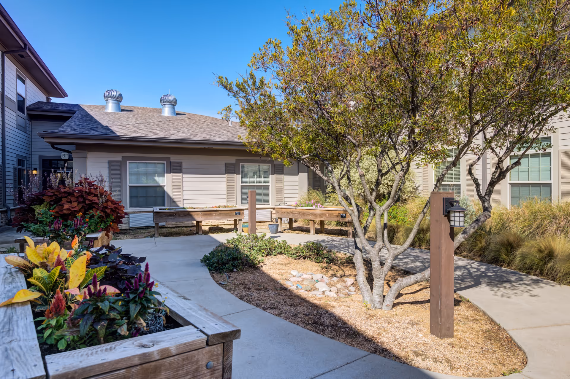Outdoor courtyard area at Truewood by Merrill, Keller featuring a paved walkway, raised wooden planters with colorful plants, a tree, and beige buildings with windows in the background under a clear blue sky.