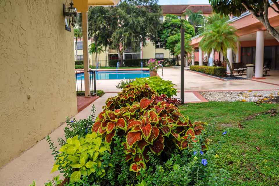 Outdoor view of a senior living facility showing a landscaped garden with colorful plants in the foreground, a swimming pool in the midground, and buildings with covered walkways and palm trees in the background.