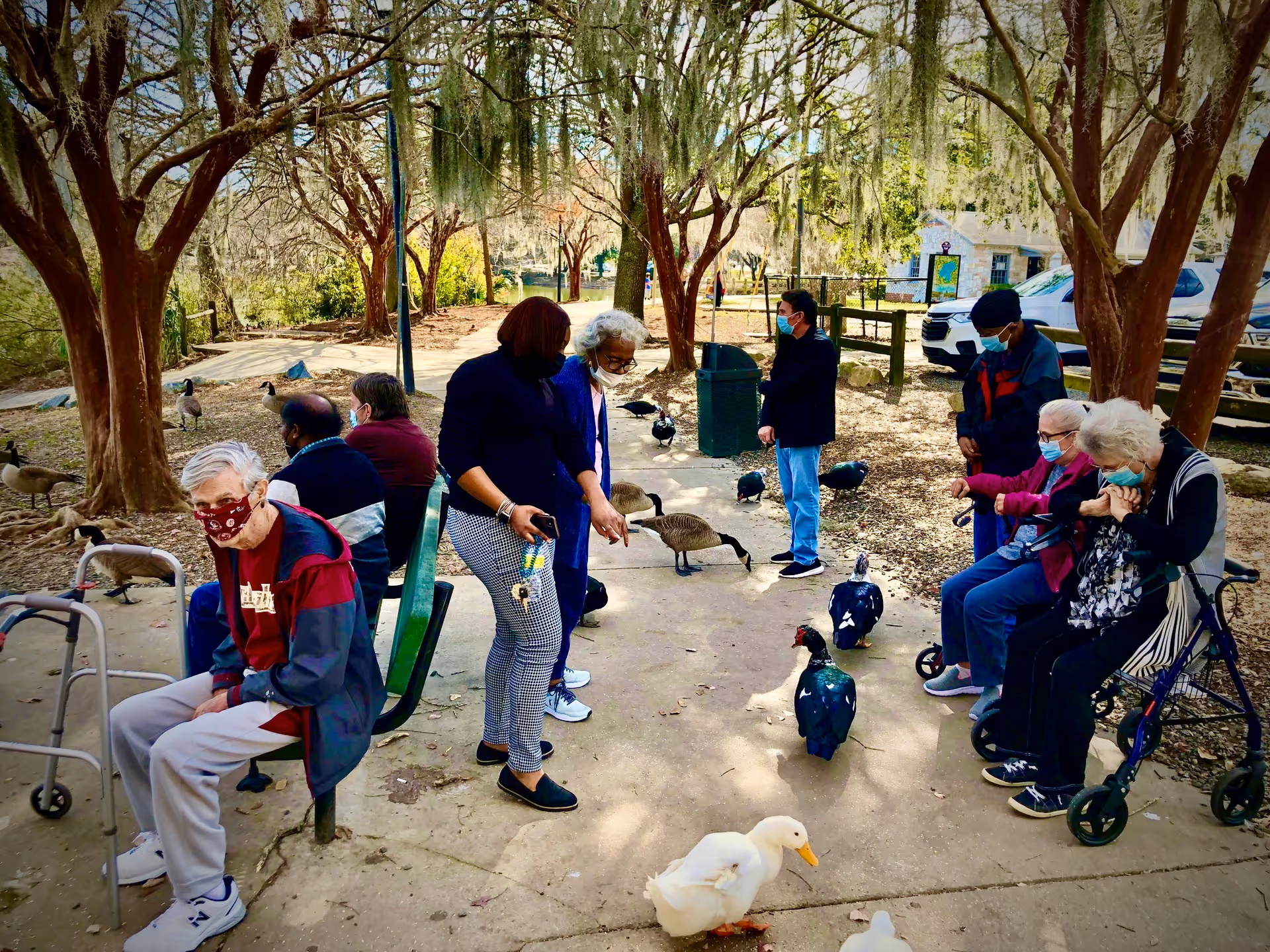 A group of elderly people wearing masks are outdoors at St. Augustine Plantation, sitting and standing on a paved path surrounded by trees. They are interacting with various ducks and geese nearby. Some are seated on benches and using walkers, while others stand and observe the birds.