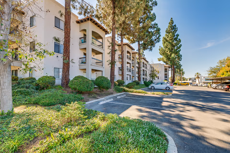 Front exterior of a multi-story senior living apartment building with balconies, tall pine trees, landscaped shrubs, and a parking lot.