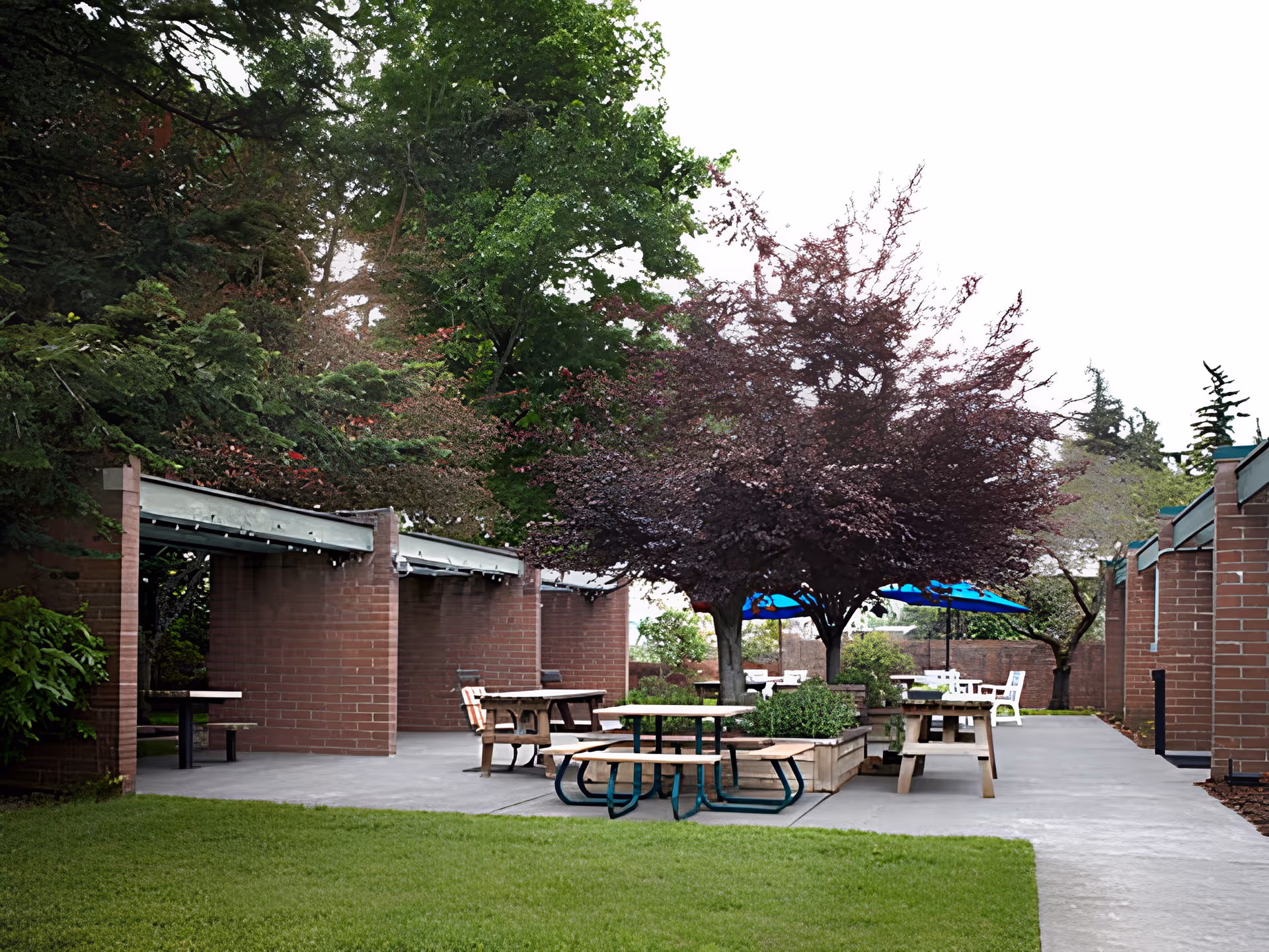 Outdoor seating area at Avamere Bellingham Healthcare and Rehabilitation Services featuring picnic tables, benches, and blue umbrellas surrounded by trees and greenery with brick structures in the background.