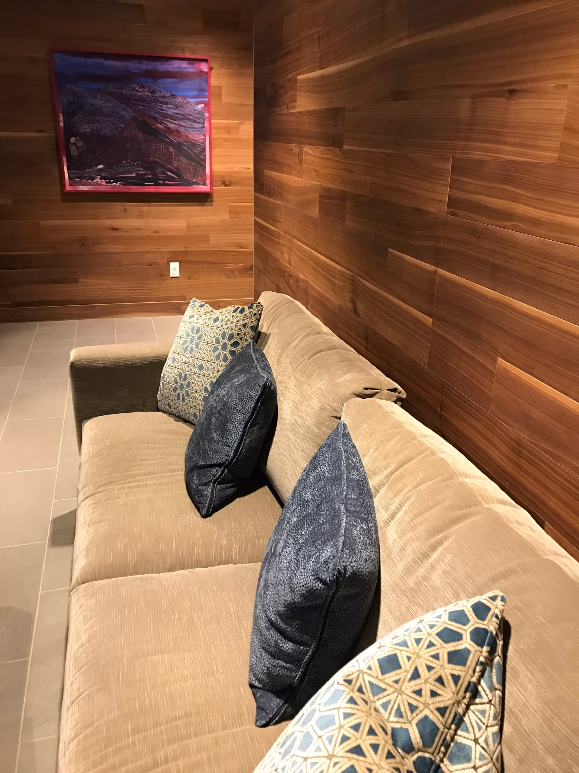 Beige sofa with blue patterned throw pillows against a wood-paneled wall and a framed painting.