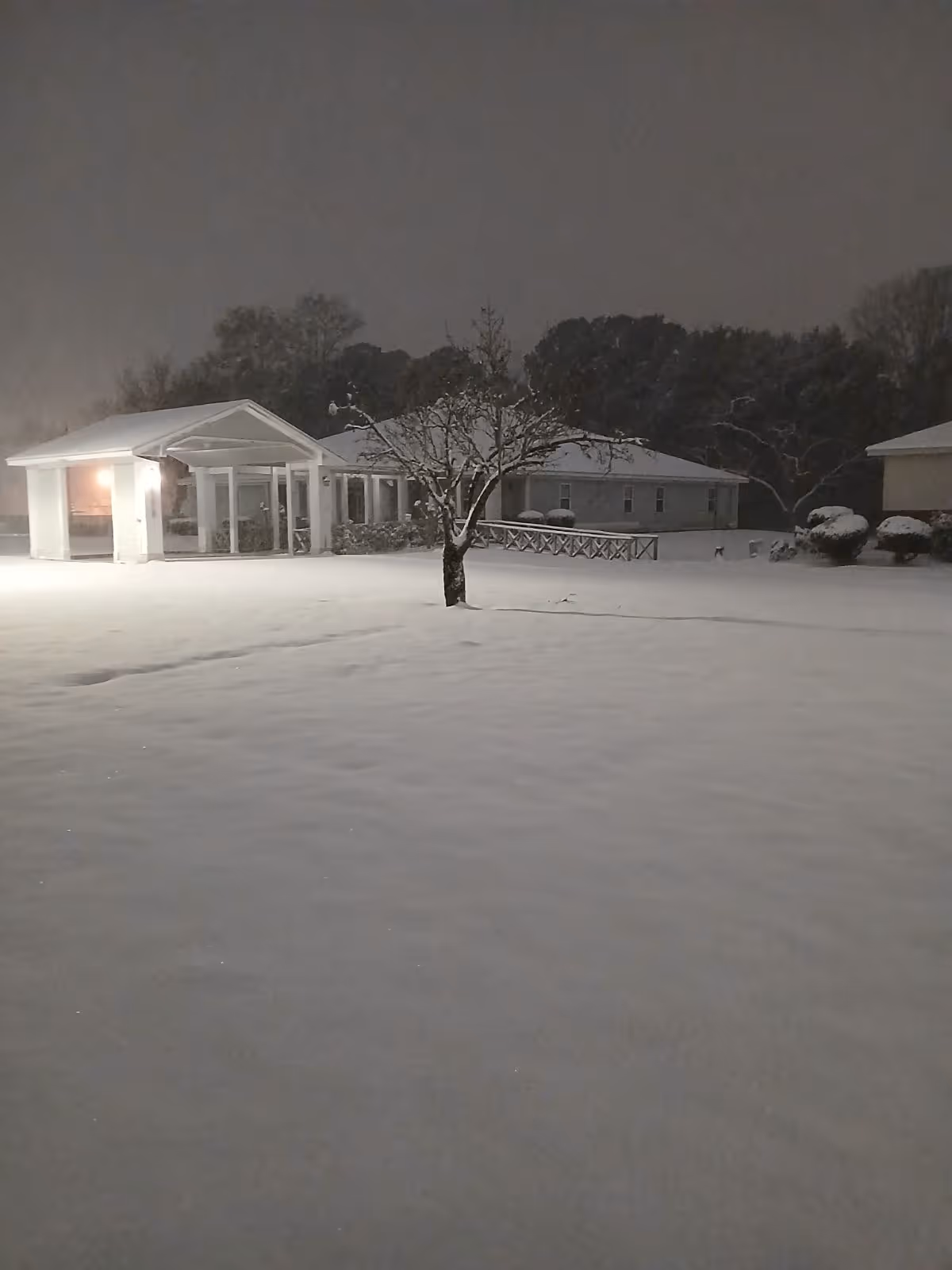 Snow-covered yard with a small tree in the center and a building with a covered porch in the background at night. The scene is illuminated by outdoor lighting, and there are trees and bushes around the building.