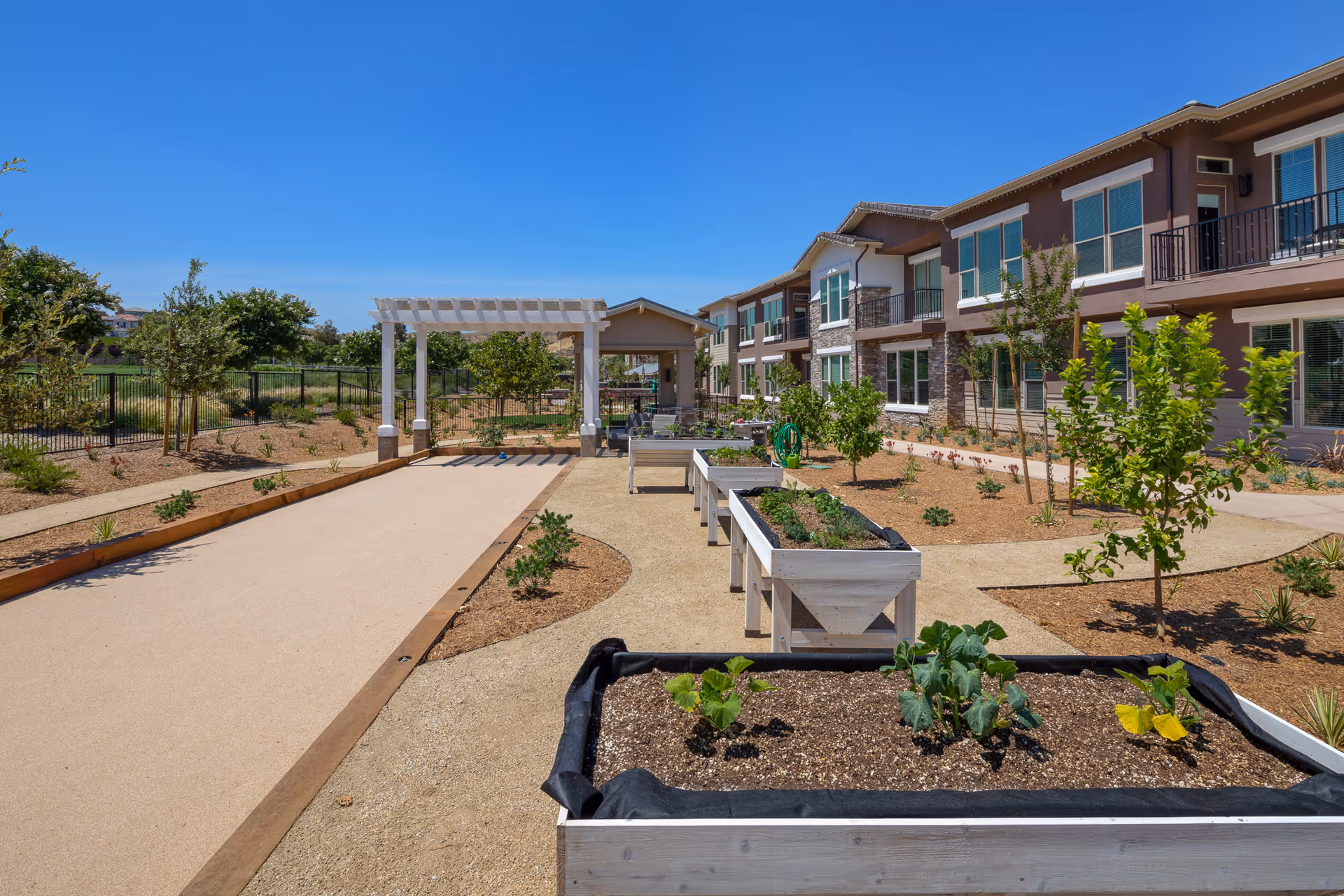Outdoor garden area at Oakmont of Valencia featuring raised garden beds with plants, a bocce ball court, a white pergola, and a two-story building with large windows in the background under a clear blue sky.