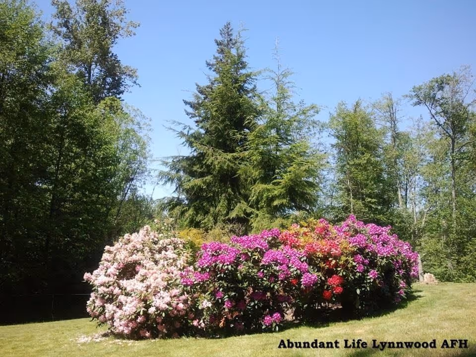 Photo 3 of Abundant Life Lynnwood