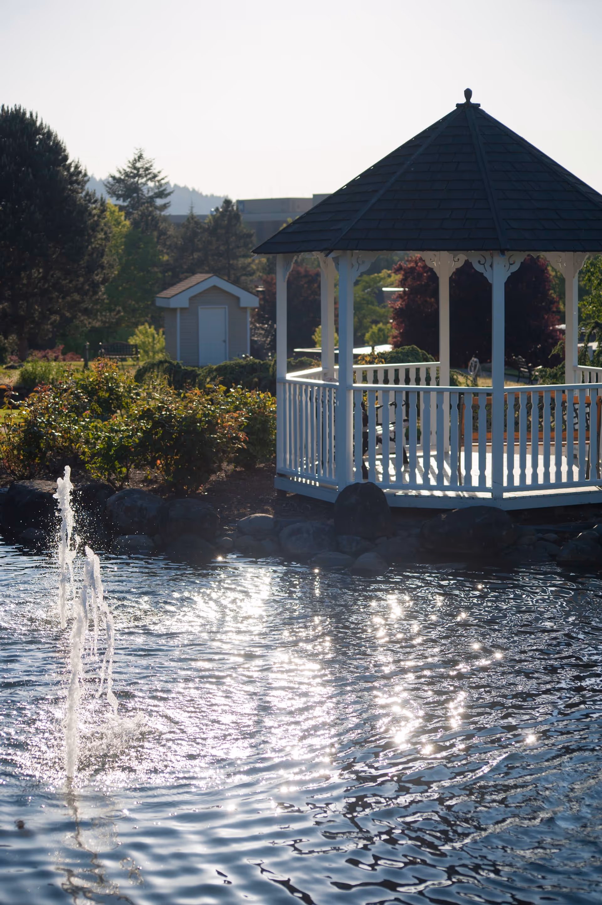 A peaceful outdoor scene featuring a white gazebo with a dark shingled roof next to a small pond with water fountains. Surrounding the gazebo are bushes, trees, and a small shed in the background under a clear sky.