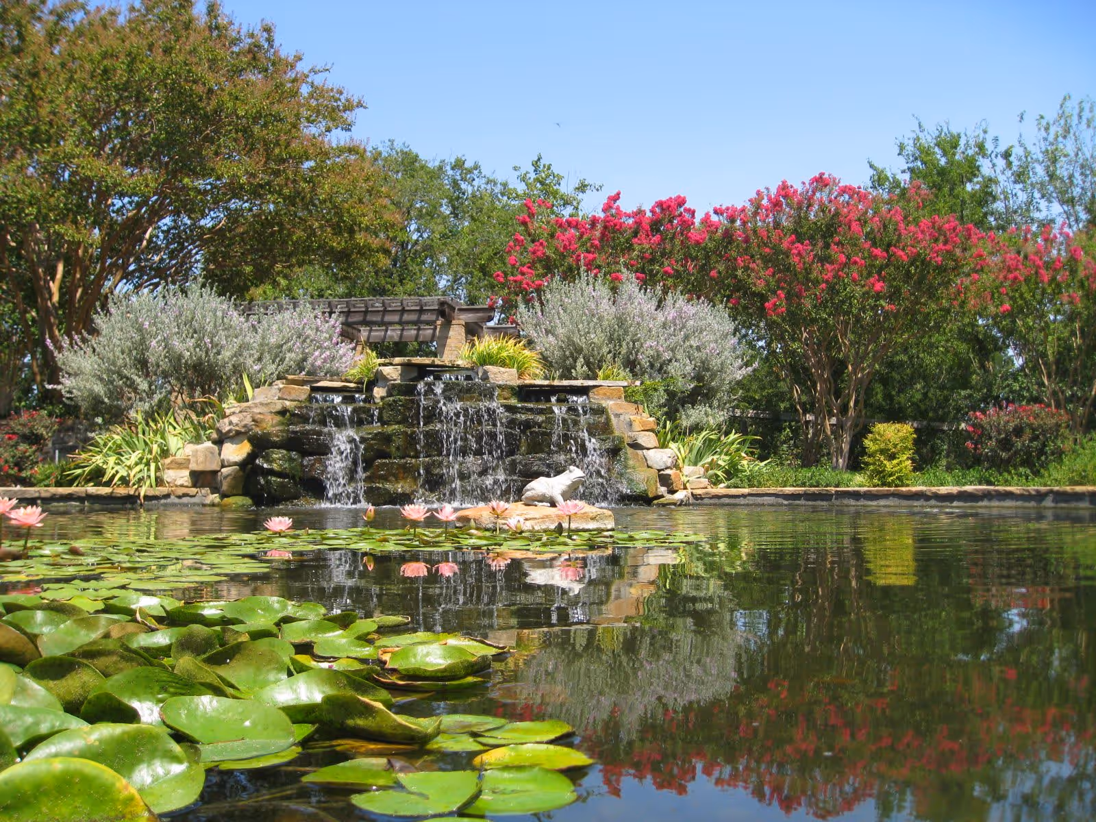 A landscaped pond with lily pads and pink water lilies in the foreground and a stone waterfall surrounded by flowering trees and shrubs.