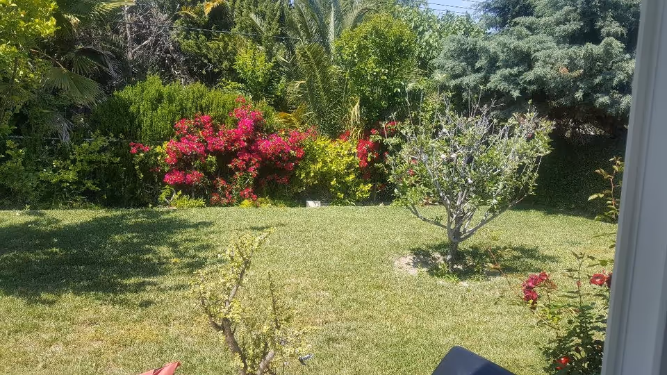 A sunny garden area with a well-maintained lawn, various green shrubs, colorful flowering plants including bright pink and red flowers, and a few small trees. The scene is viewed from a shaded spot near a building edge.